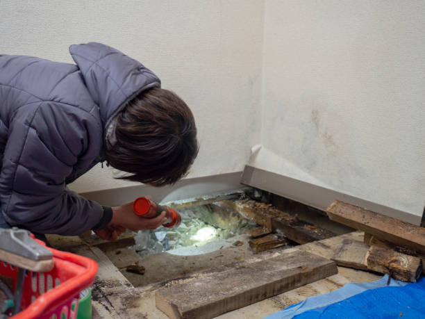 Best Commercial Mold Inspection  in Alum Creek, WV