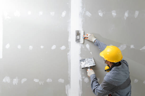Best Asbestos and Lead Testing During Mold Inspection  in Alum Creek, WV